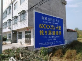 富顺墙体广告质量分析