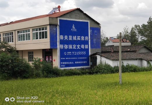 富顺决定墙体广告价格的因素有哪些?