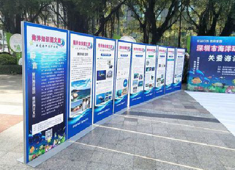 富顺KT板的种类和知识。